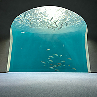 料理初心者のこうちゃん