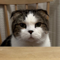 chipimaru