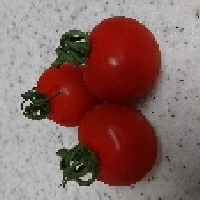 tomato2