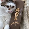 いぶりがっ子ちゃん