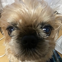 みゆき