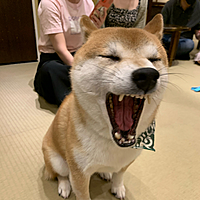 小杉貴子