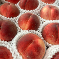 料理がんばるっピ