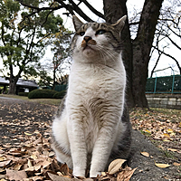 にやち♥️