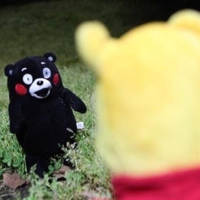 こだまんぼぅ。