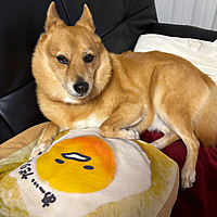 めぐみ