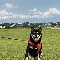 宮ちゃん