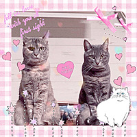 🐷輝ちゃん(mizuno)🎶