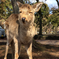 りん♪香港