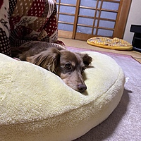 ひろな