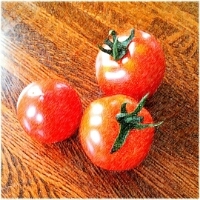 tomato