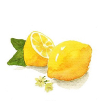 lemon