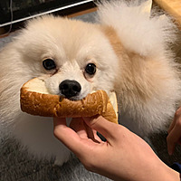 ルーちゃん