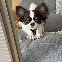 くう