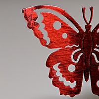 crimson butterfly