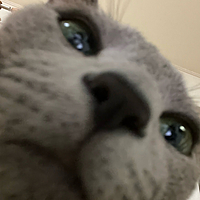 うーちん