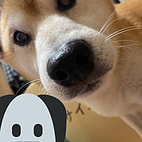 こー