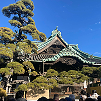 ともみ