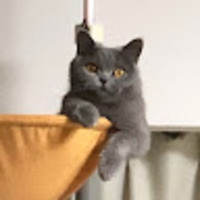 Tonkatsu Nokorimonono