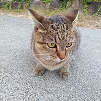 AKI