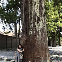 藤山未沙子(嵯峨)