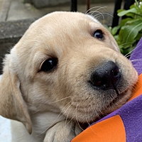 *:☆.｡ᴍᴇ-ᴍɪ｡.:*☆