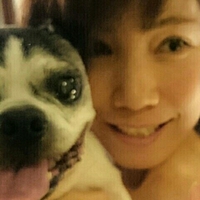 aiko